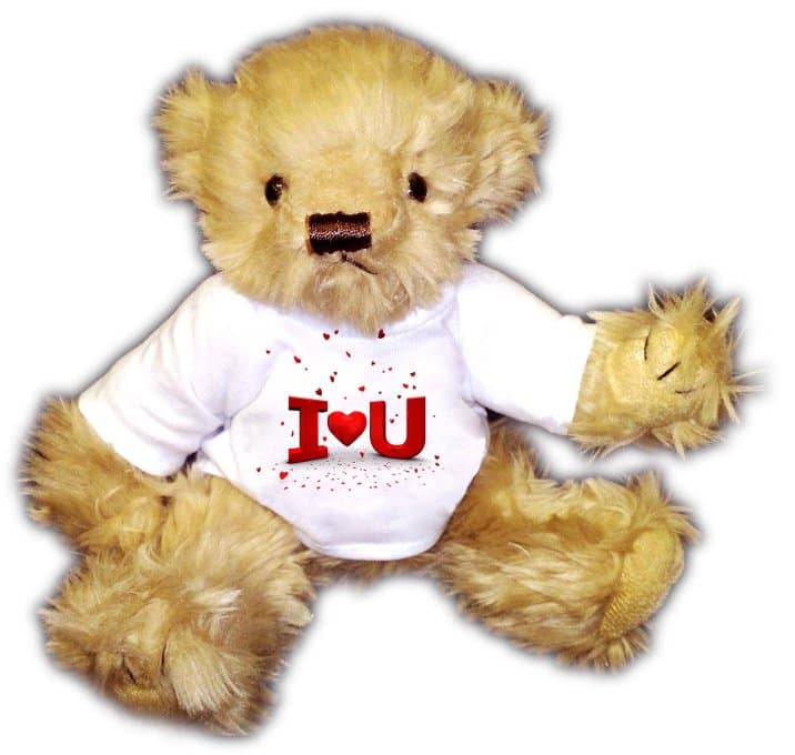 valentines teddies