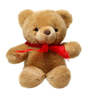 Customised Teddy Bears