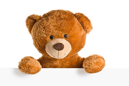 Personalised Bears